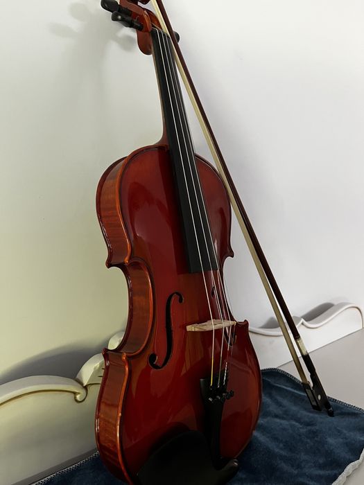 Violin and Shoulder Rest64297675603587122