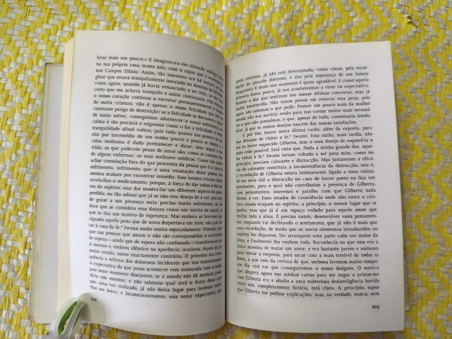 Em busca do tempo perdido - Marcel Proust