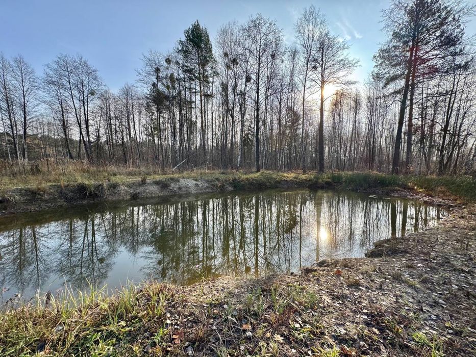 Продам будинок з озером біля лісу! 120 м2! Здвижівка!