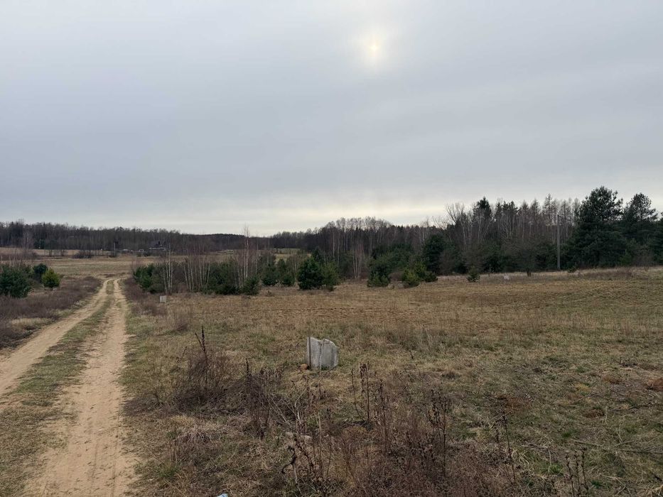 Działka NIEWODNICA KOŚCIELNA budowlana 1012 m² | MPZP | widok na las