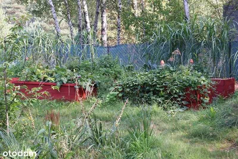 1000 m² przy ul. Dębowej — działka z prądem, wodą i domkiem - sprzedaż bez pośredników
