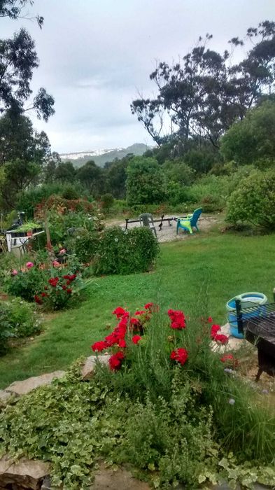 Terrnno rustico, Rustic land for sale ocean view Alcobaca
