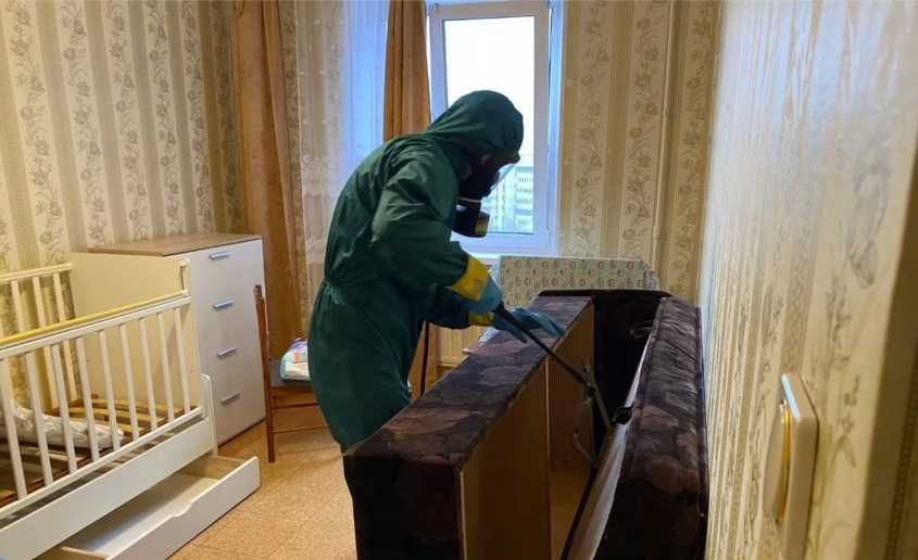 Обробка від тарганів, професійна дезинфекція дезинсекція дератизація