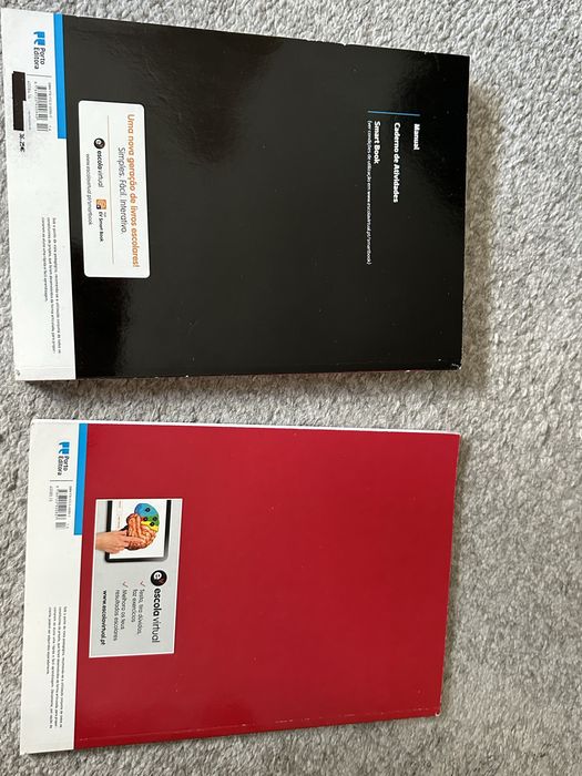 Manual e caderno atividades Literatura Portuguesa, 11.o ano