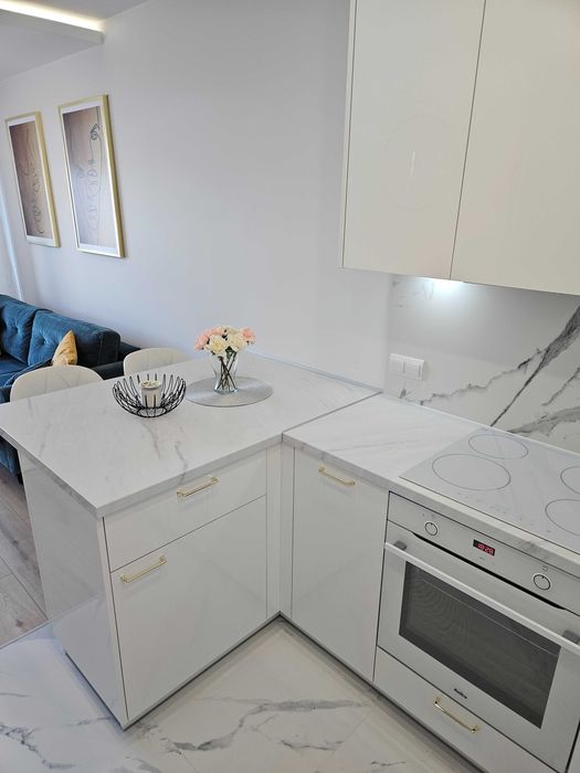 " NOWY GRABISZYN " LUX APARTAMENT DWUPOKOJOWY z kominkiem - Miedziana/Grabiszyńska - Widok 3