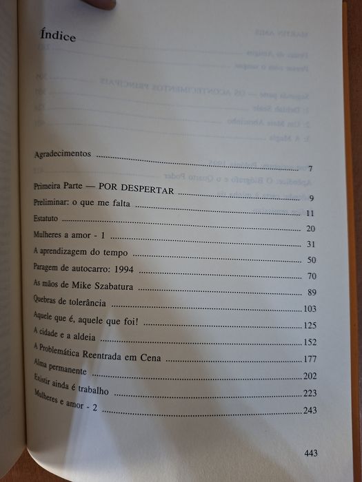 Martin Amis Experiência
