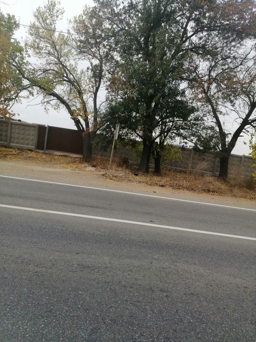 Продам 60 гектар земли в Большой долине от хозяина