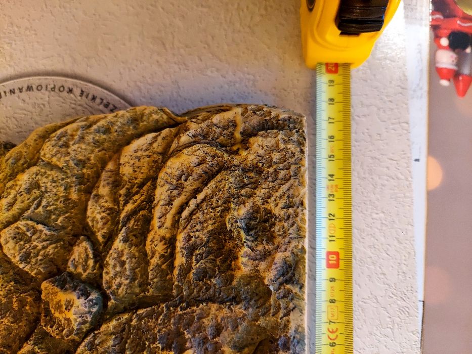 Wyspa pływająca dla żółwia Exo Terra średnia