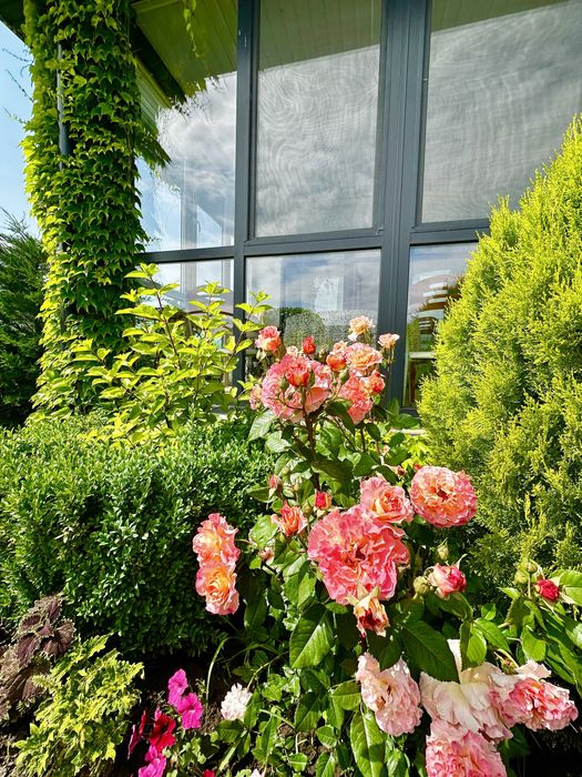 Купівля-Продаж будинків Бориспіль центр 2 км