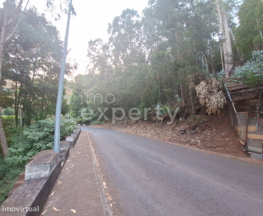 Plot of Land in Gaula, 2590 m², Madeira