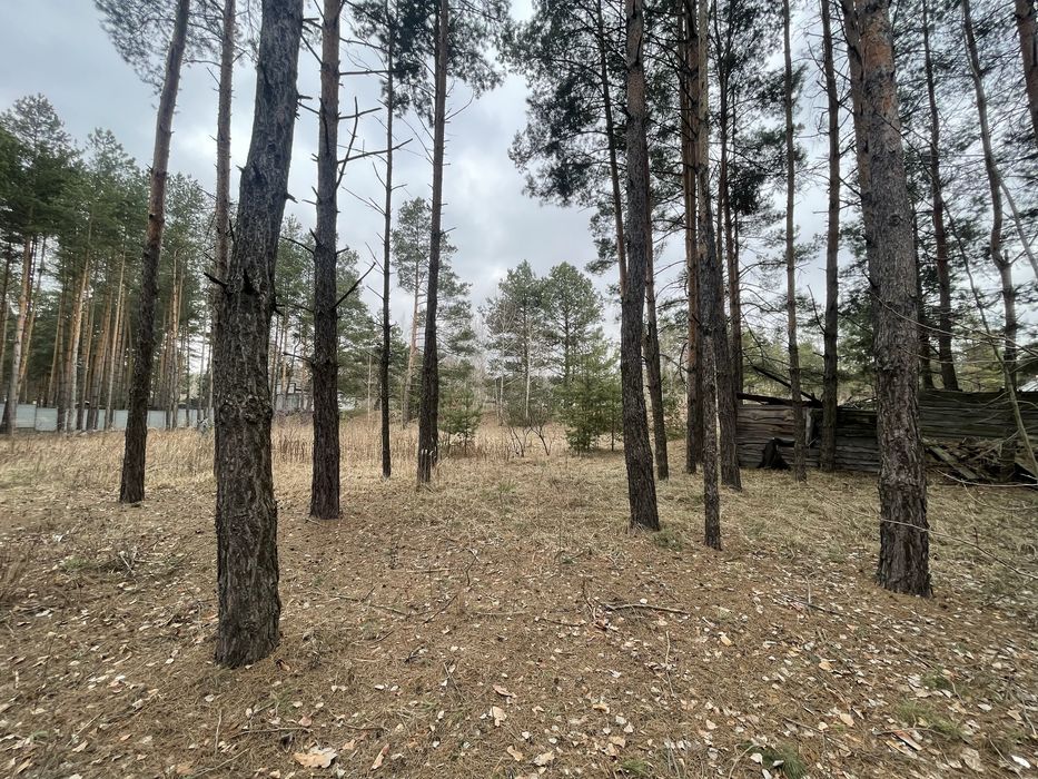 Рожівка будинок в КМ Лісове озеро