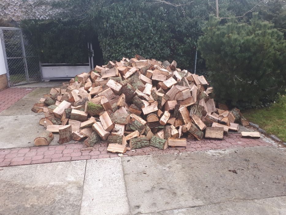 Drewno opałowe  Sosna Buk dąb