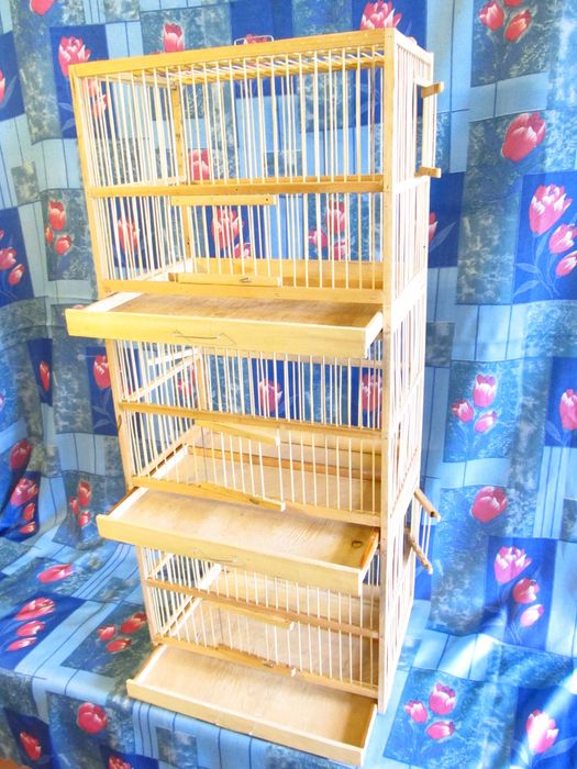 Клетка для содержания и разведения птиц