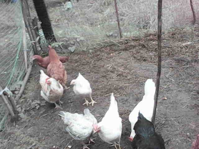 Камера мини видеонаблюдения Wi-Fi, мини IP камера.