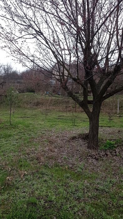 Продам свой  дачный участок 6 сот, в сторону с Любимовка