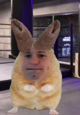 Хомячок бурмалдачок