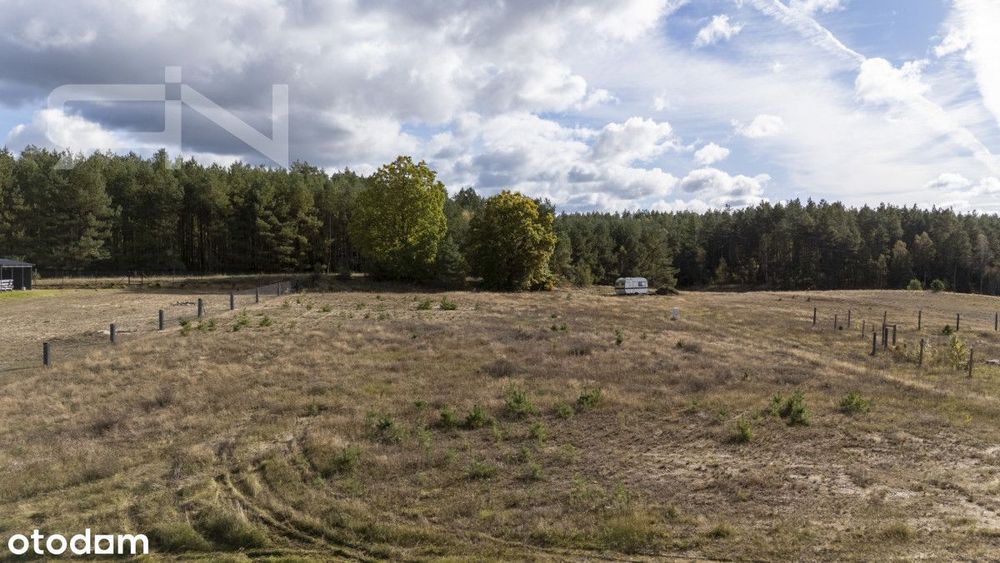 Działka | Kaszuby | 1162 m² | Jeziora | Las