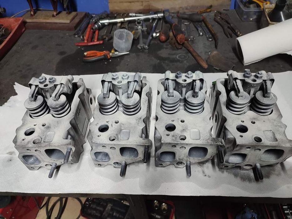 Cabeças / colassa AMC