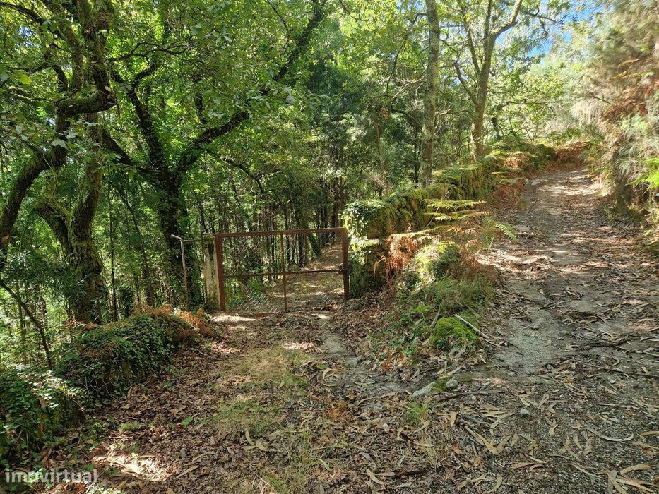 Terreno  Venda em Mosteiro,Vieira do Minho