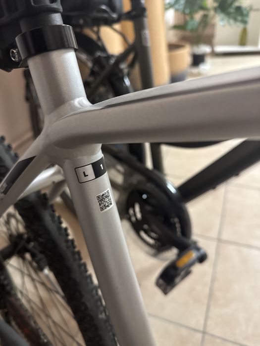 Rower Giant Roam L