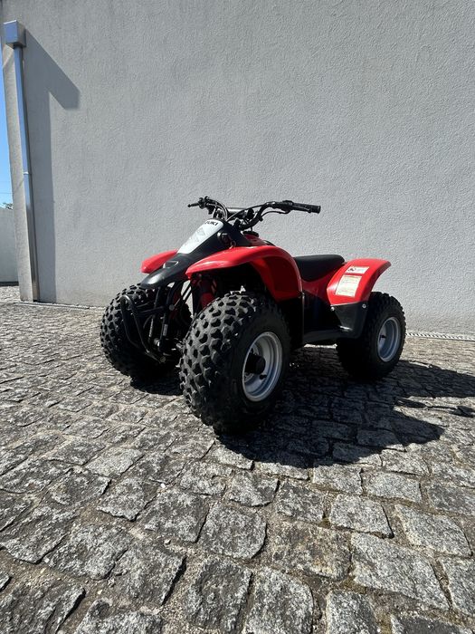 Suzuki LT-A50 Quad Master