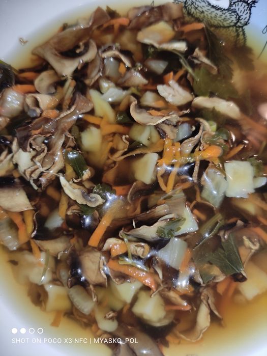 Сухий Грибний/ Харчо/Борщ