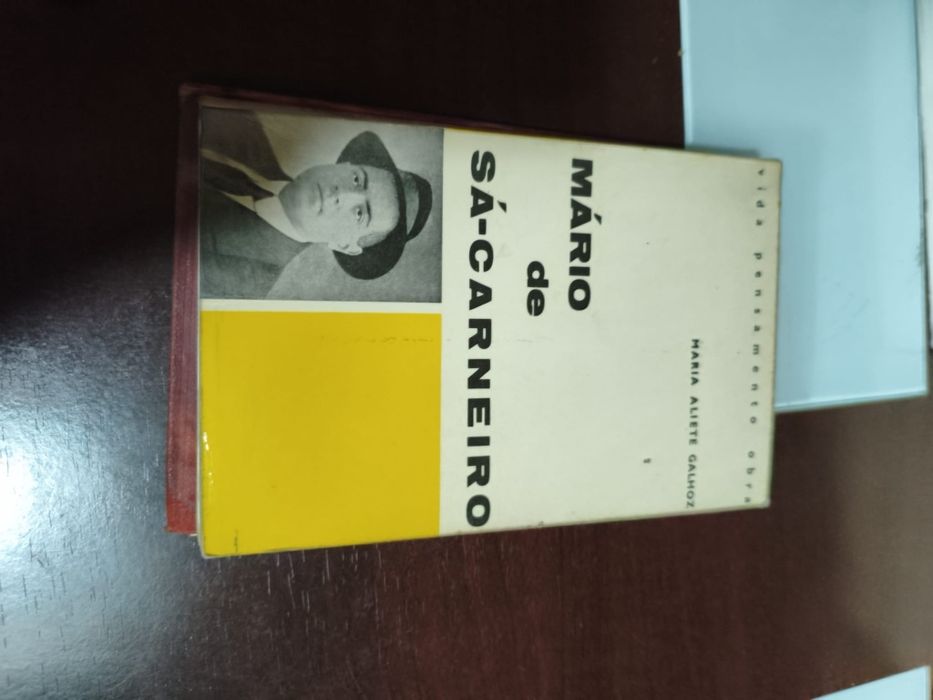 Mario de Sá carneiro de Maria Aliete Galmoz