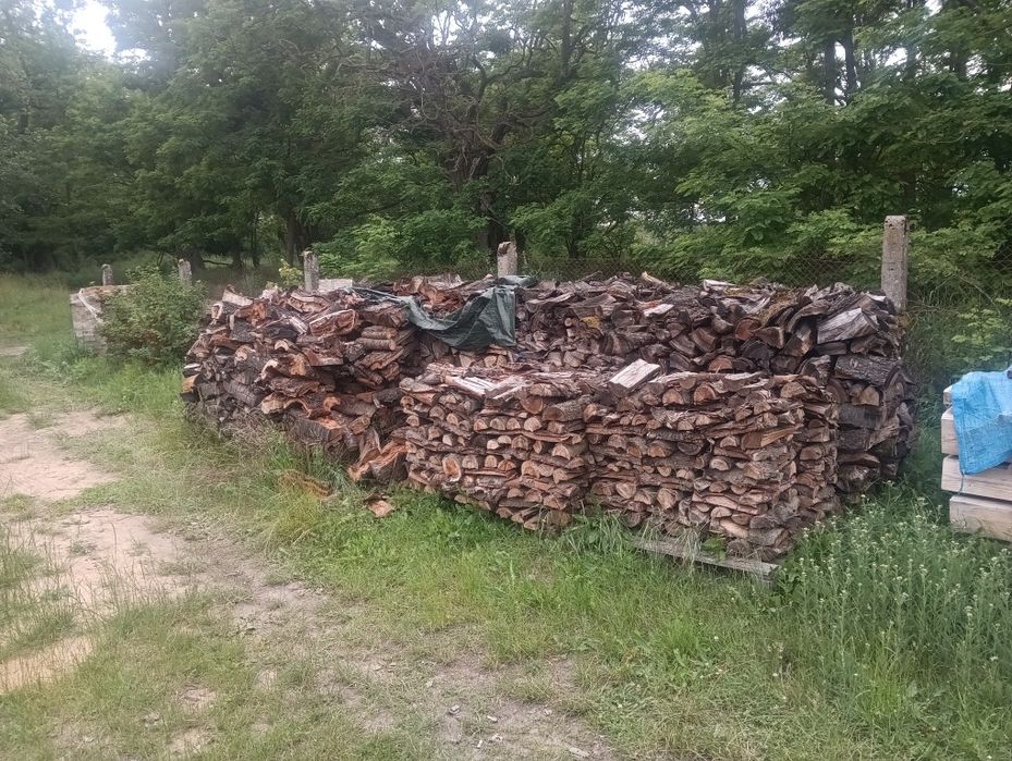 Drewno opałowe czereśnia, wiśnia do wędzenia