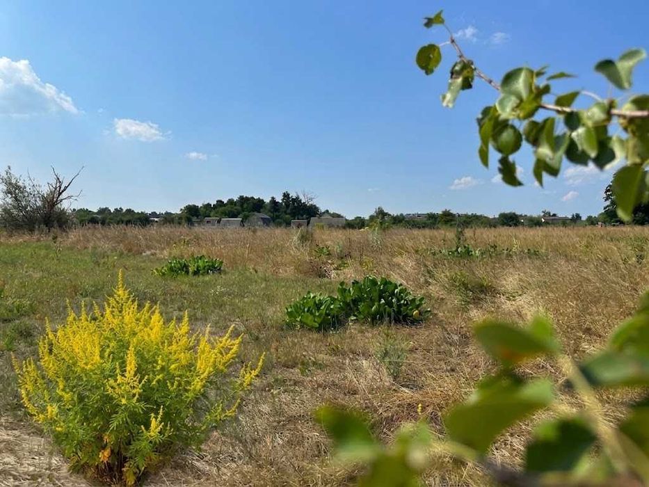 Продаж ділянки 18,59 соток під житлову забудову. Електрика поруч. ID:843