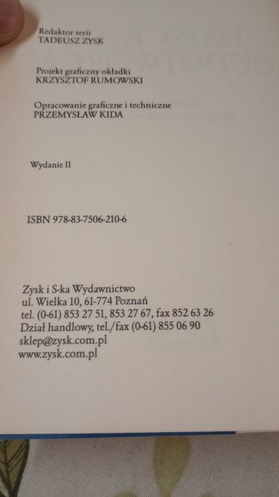 Daisy Fay i Cudotwórca. Fannie Flagg