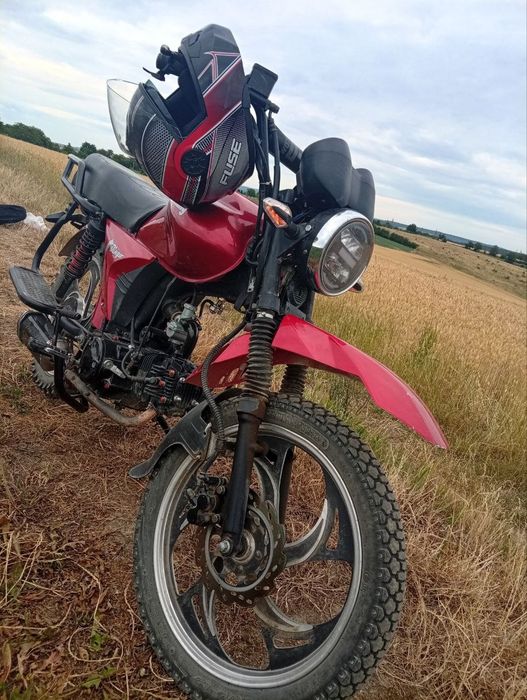Mustang Dingo MT-125
