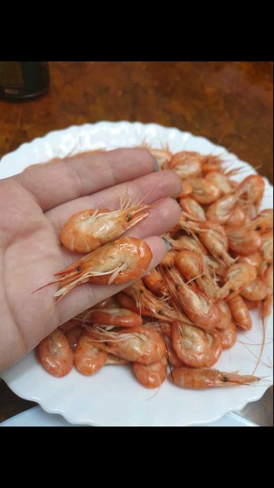 Крабы, раки, креветка, морепродукты. Живые, вареные.