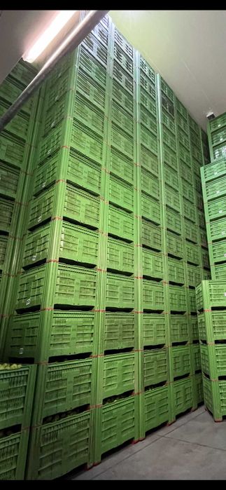 Skrzyniopalety plastikowe, Palbox 110 FA, Logo Gratis ! 360 zł netto