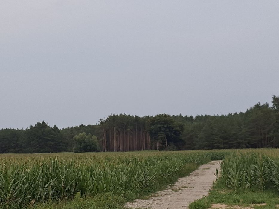 Zdjęcie 4