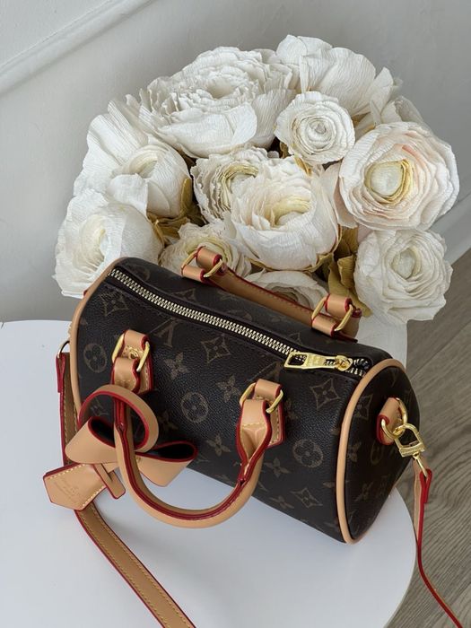 Сумка Louis Vuitton Nano Speedy