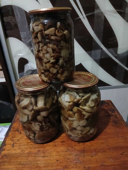 Гриби мариновані лисички