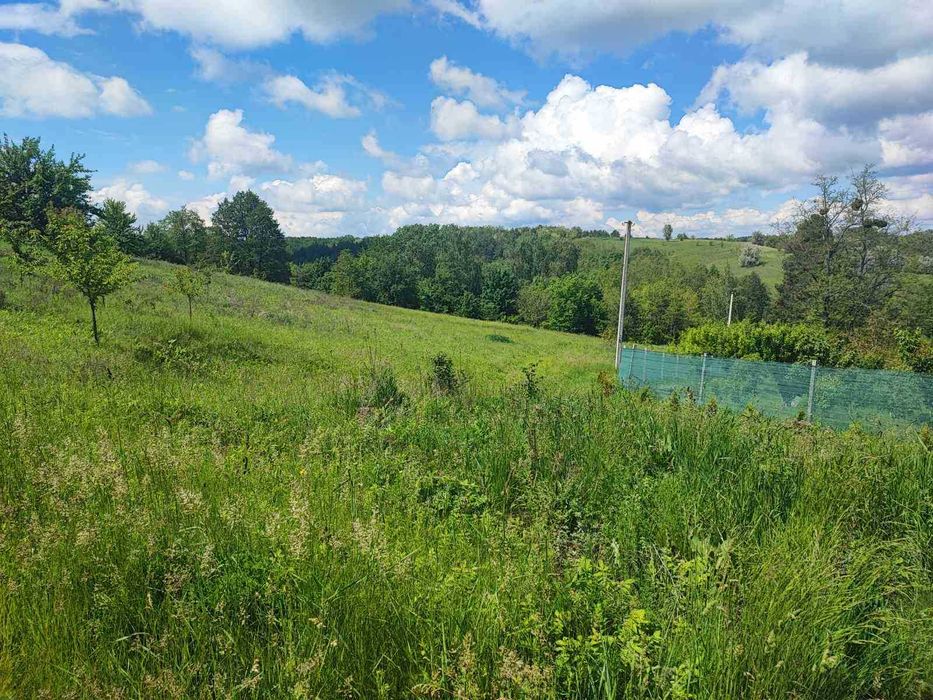 Земельна ділянка під базу відпочинку та інше.1Га біля лісу!Обухівський