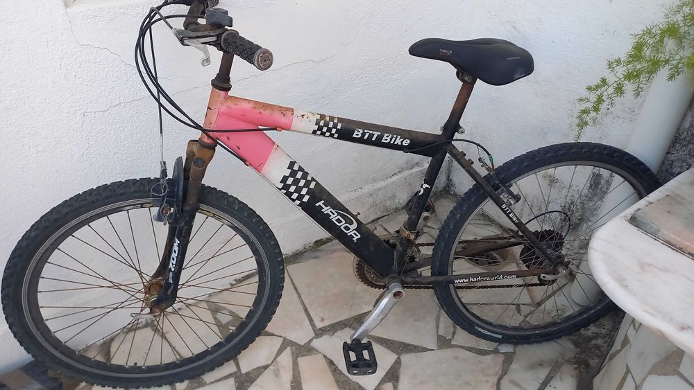 Bicicleta adulto