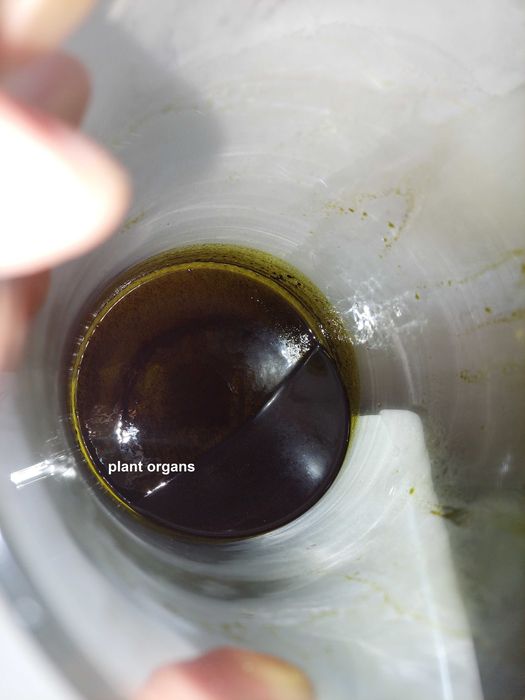 OLEJ CBD 15%, własna produkcja, NAJWYŻSZA jakość!