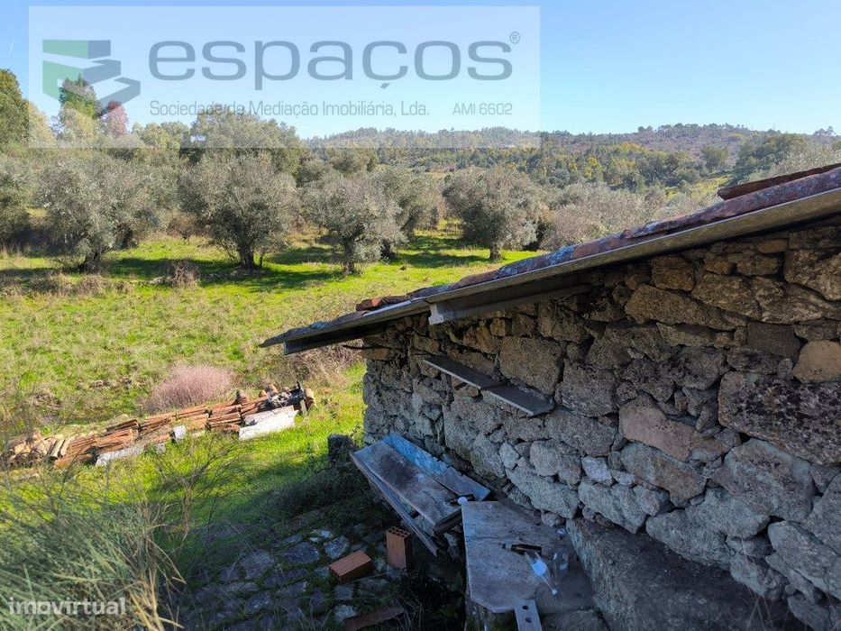 Terreno com casa em pedra e anexos - Palvarinho