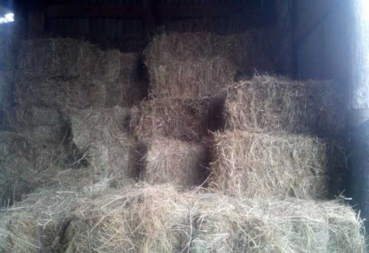 Продам тюки сіна!