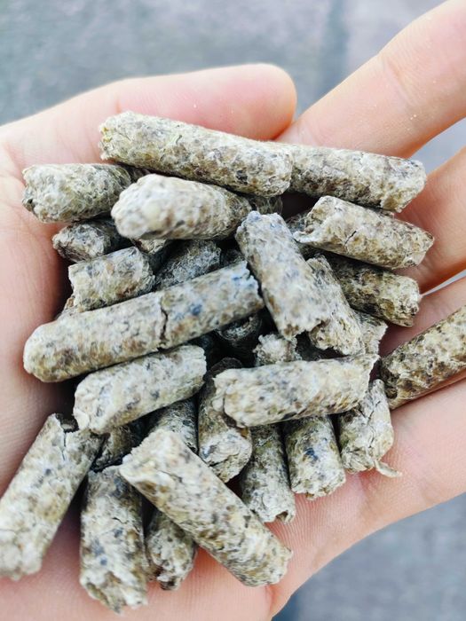 Wysłodki buraczane melasowane niemelasowane - cena brutto z  DOSTAWA