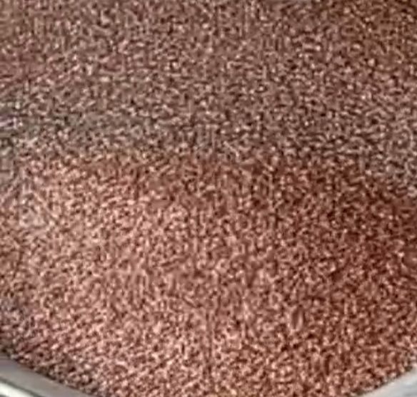 насіння.  льону.