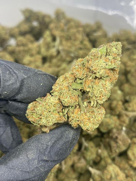 1kg susz CBD Blackberry/THC<0.3%