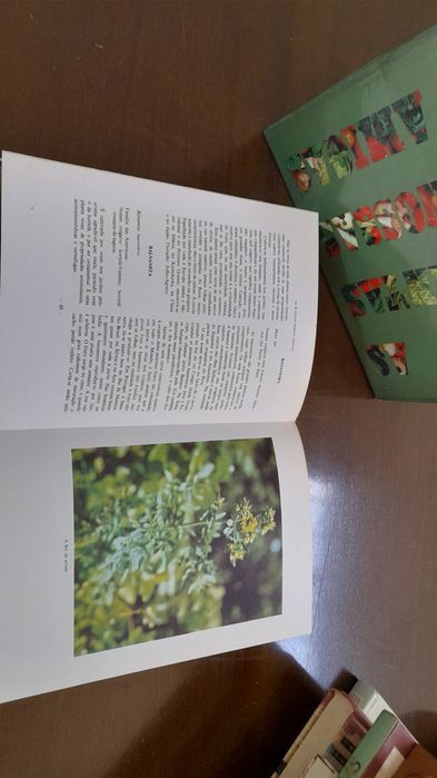 Coleção "As plantas nossas amigas"