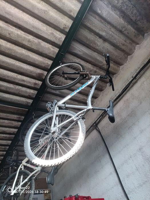 Vendo 5 Bicicletas Orbita