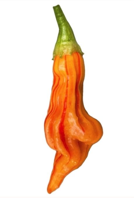 ASSALTO PICANTE - molho picante