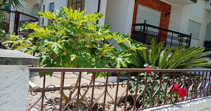 Vendo Andar Moradia em Rio de Loba, a 5 min. do centro de Viseu