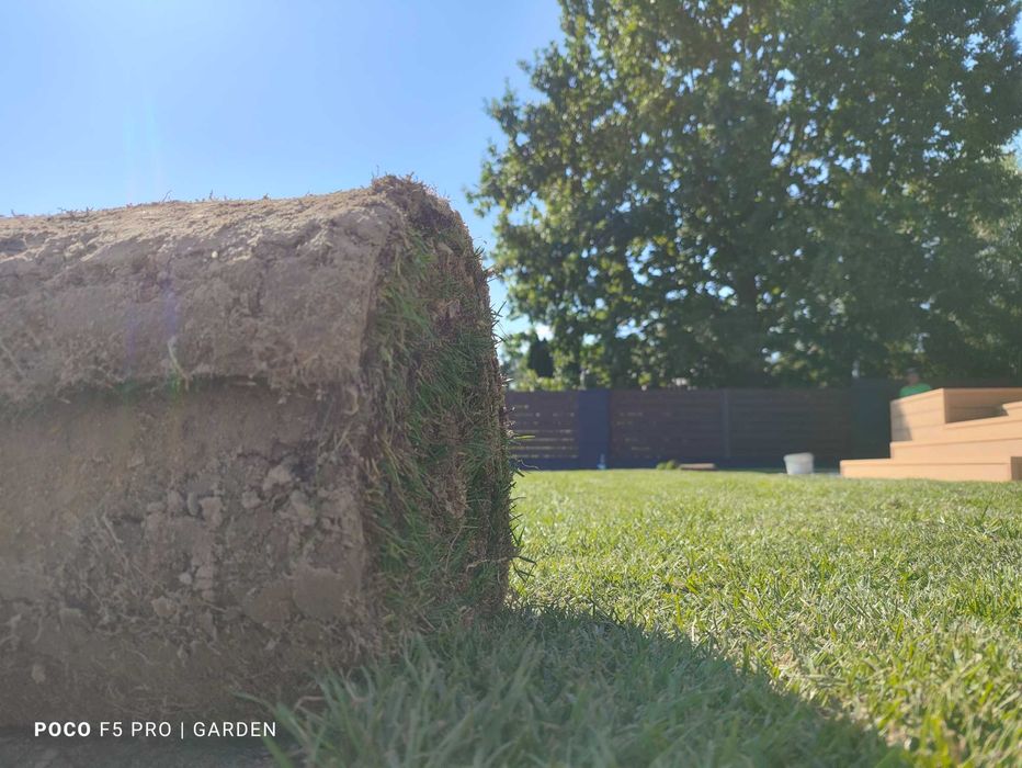 Zakładanie trawników Trawnik z rolki niwelacja terenu