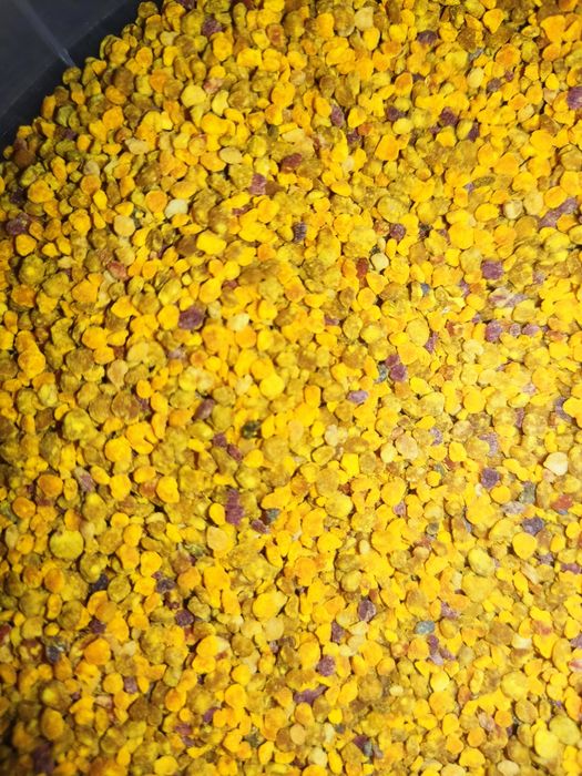 Бджолиний пилок очищений